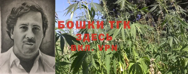 дмт Алзамай
