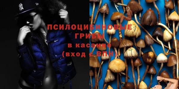 дмт Алзамай