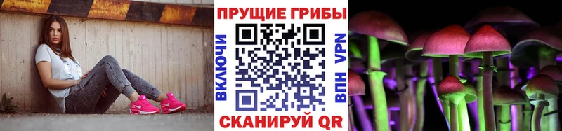 закладка  Джанкой  Галлюциногенные грибы MAGIC MUSHROOMS 